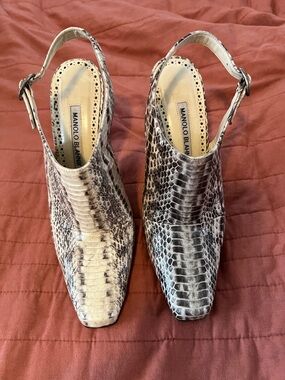 Manolo Blahnik Gray Snakeskin Slingback Mule Booties